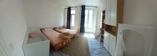 Grand appartement au coeur de Strasbourg, Strasbourg (photo 10)