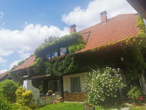  Märchenschloss, Pension in Hart bei Graz bei Kumberg