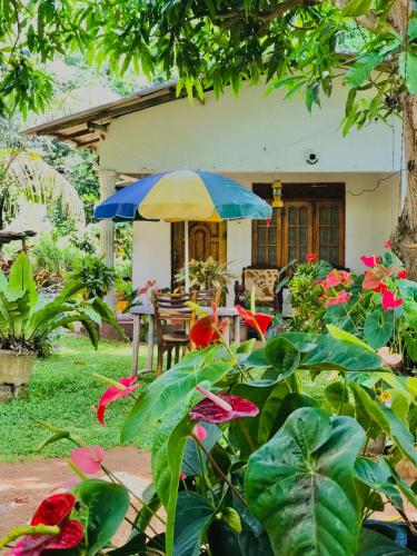 Garden, Sigiri Lakshan Home Stay in Sigiriya