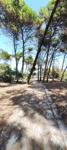 Surrounding environment, OASIS ESCAPE in Vaccarizzo-delfino