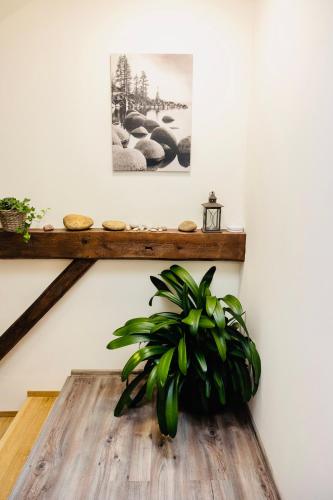 ŠUMAVSKÝ DVŮR (SUMAVSKY DVUR) in ซัสไซส์