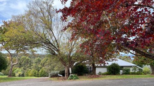 Karri Mia Chalets and Studios