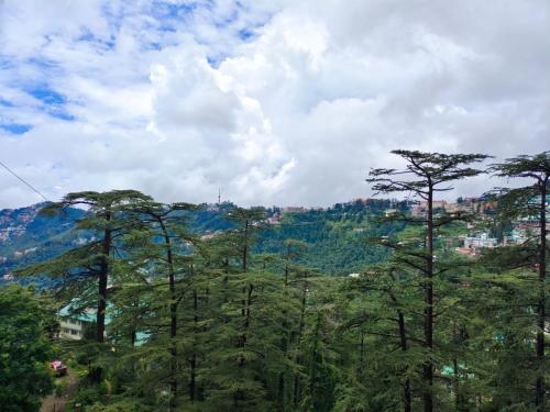 View, Shimla Royale - Near Mall Road Free Pickup From Railway Station Shimla in Shimla