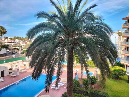  Sunny Apartment Australia by Yumbo in Playa del Ingles