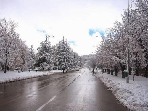 Tranquil Oasis in the Heart of Ifrane, Ifrane (fotografie 8)