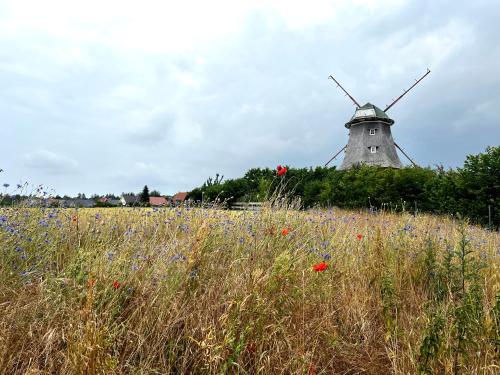 Apartment Klabautermann in Neubukow