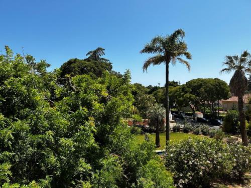 Suite, superior, gartenblick
