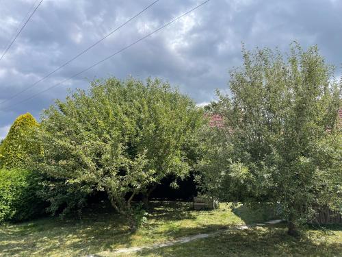 Bungalow mit großem Garten uneinsehbar und Stellplatz