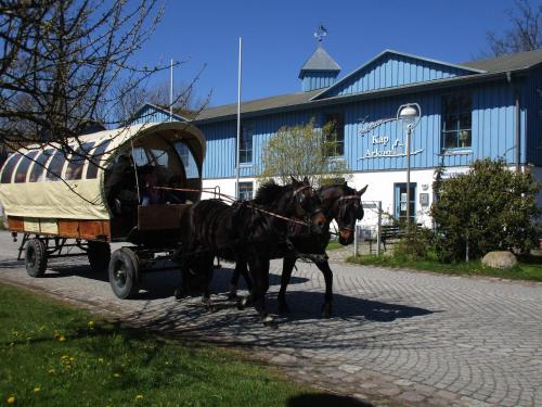 FeWo-Solveig in Putgarten, Deutschland