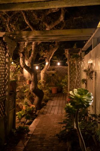 Carmel Garden Inn - 정원
