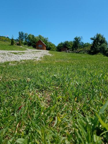 Tiny H, Ocnele Mari (foto 4)