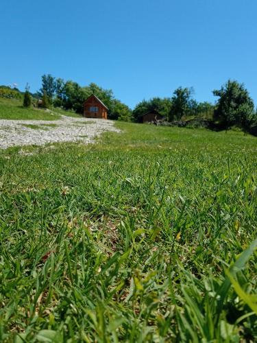 Tiny H, Ocnele Mari (foto 7)