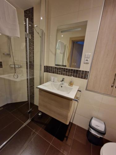 Family apartment with garden view, Братислава (фото 8)