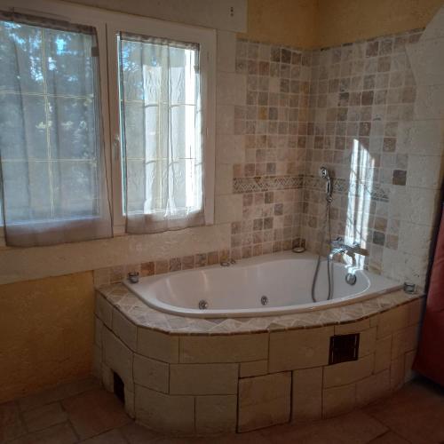 Gîte avec jacuzzi, et accès privé à la rivière (Gite avec jacuzzi, et acces prive a la riviere) in Ladern-sur-Lauquet