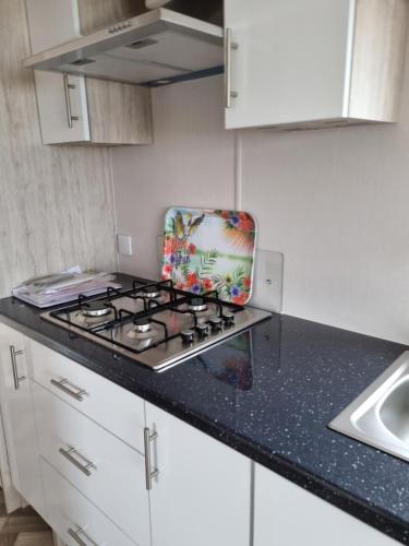 Camping Zeezicht Verhuur Chalet aan Zee in Westerland