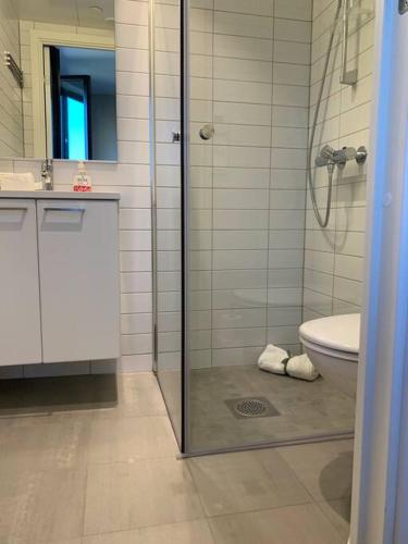 Central 1 bedroom apartment NB!! Small room, Oslo (photo 6)