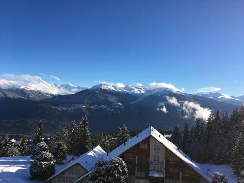  Stunning view over the Swiss Alps - Ski in & out in Crans-Montana