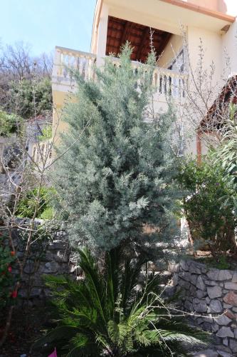 tuin, Apartments Woodstock 6 in Lucice