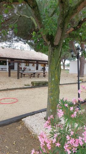 Gîte Mas des cabanes en petite camargue