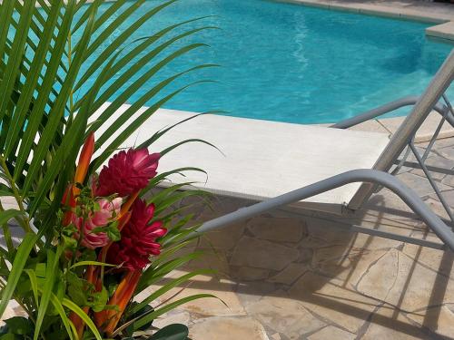 ISK LOCATION, Sainte-Rose (Foto 8)