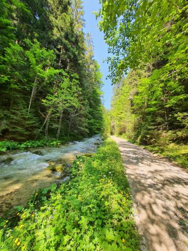 Apartman Teddy12-Vlašić (Apartman Teddy12-Vlasic) in Šišava