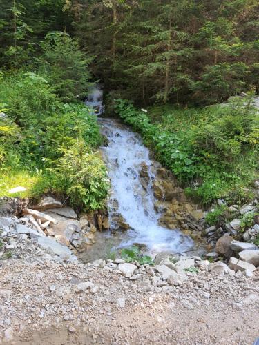 Apartman Teddy12-Vlašić (Apartman Teddy12-Vlasic) in Šišava