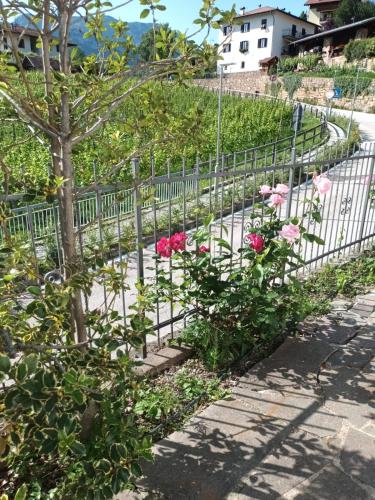  Home d´elite Il Vitigno in Lavis