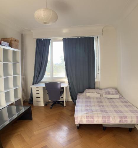Apartment in the heart of Geneva