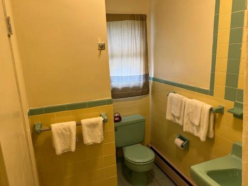 Thruway Holiday Motel - 화장실