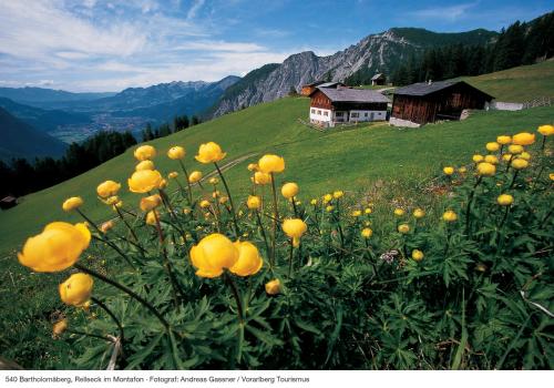 Alpine Lodge Klösterle am Arlberg Room Type - Two-Bedroom Apartment with Balcony Alpine Lodge Klösterle am Arlberg Room Type - Two-Bedroom Apartment with Balcony
