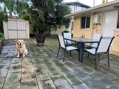 Wrentree - Pet Friendly Inside 26B Laurel Tce