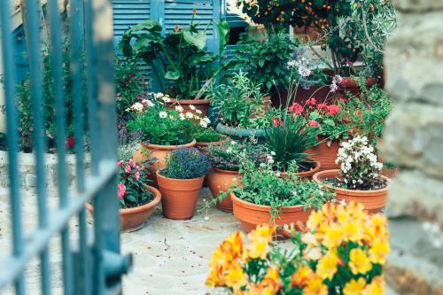  Mylos Apartments in Gialova