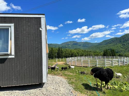 Margo's Garden Farmstay, Kiroro