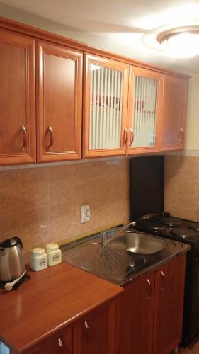 Apartments Topla