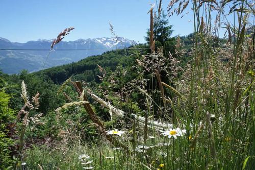 HERZLI-CHALET über dem Rheintal mit Schlossblick