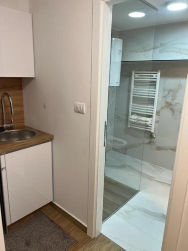 One-Bedroom Apartment image 7