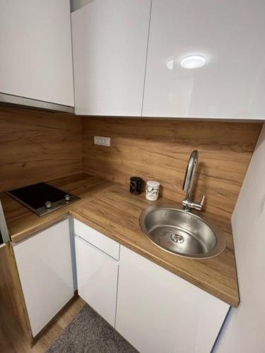 One-Bedroom Apartment image 6