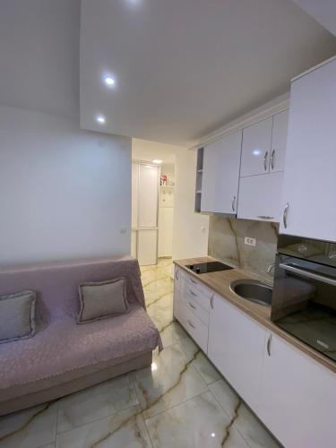 One-Bedroom Apartment image 4