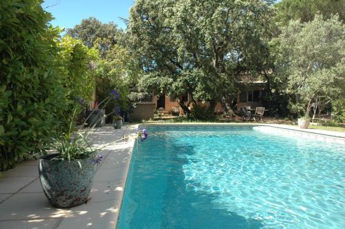 La Vigne et L'Olivier - Location saisonnière - Villeneuve-lès-Avignon