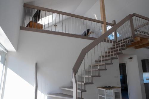 Schwarze Eule Ferienwohnung in Beckingen, Deutschland
