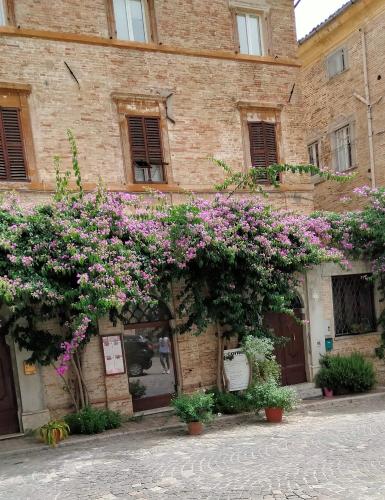 ATTICO SULLA BOUGANVILLE (Albergo diffuso)