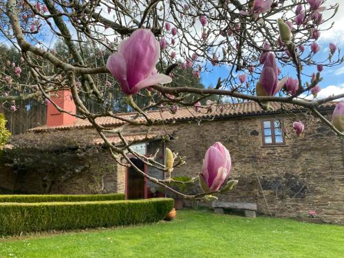  Casa rural Castro de Crecente cerca de la playa de Valdoviño, Pension in Valdoviño