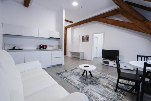 Instalaciones, Palatul Lugoj in Lugoj