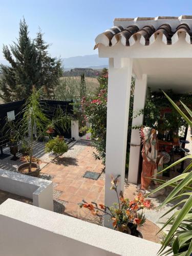 CASITA OASIS in Gibralgalía