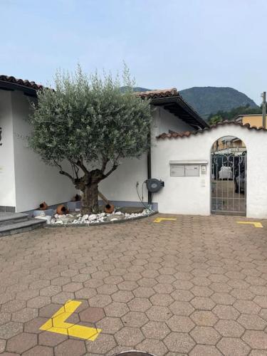  Comodo appartamento, Ferienwohnung in Losone