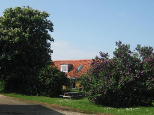  Kunstnerhuset i Selde, Pension in Roslev