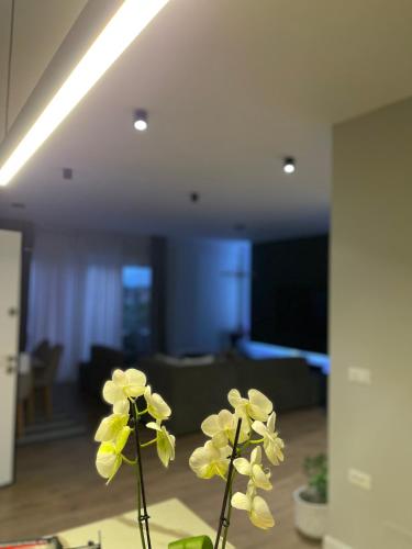 Villa 22, Tirana (fotografie 9)