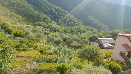 casa di arya CODICE CITRA LT-0043 in Avegno