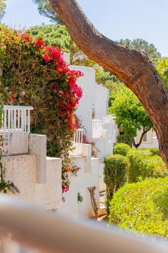 Atlas Apartments Ibiza - image 2