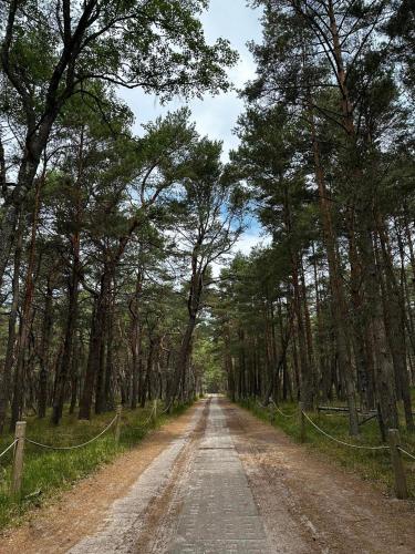 Apkārtne, SMOŁDZIŃSKIE ZACISZE (SMOLDZINSKIE ZACISZE) in Smoldzino